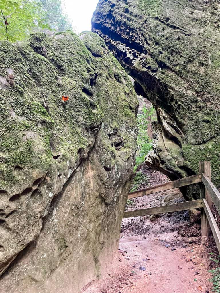 5 Short Hocking Hills Hikes that will Blow Your Mind